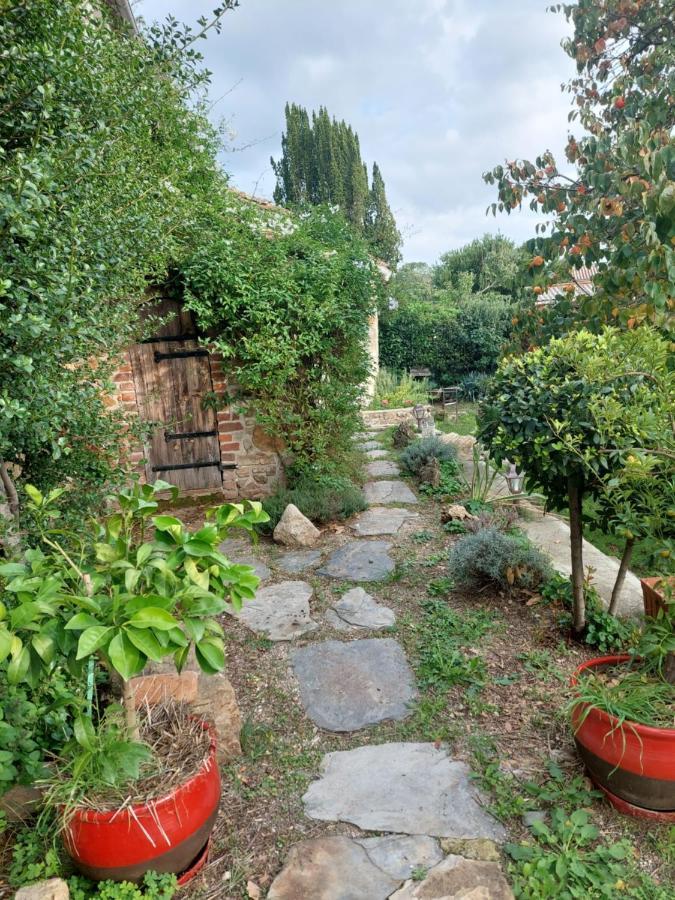 Le Mas Du Galibot Chambre Cambalotte Saint-Florent-sur-Auzonnet 外观 照片